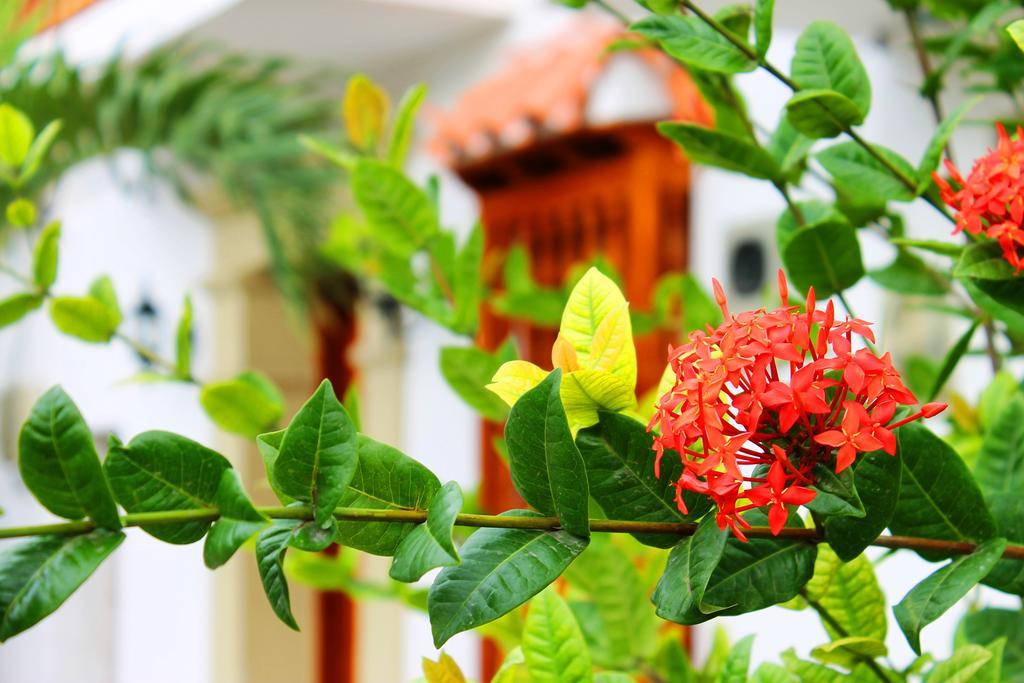 Casa Marques Del Pedregal Villa Cartagena Rum bild
